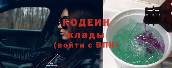 индика Пестово