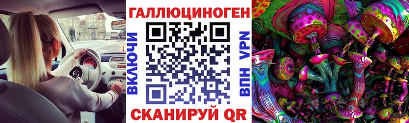 где продают   Плёс  Псилоцибиновые грибы Cubensis 